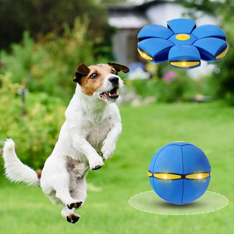 La pelota rebotando con forma esférica